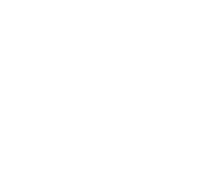 Réseau ACCESS Network