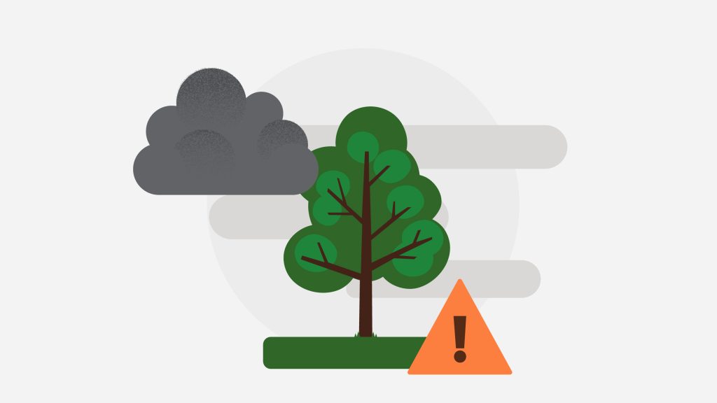 Wildfire smoke reducing air quality: Saturday, July 18, 2026