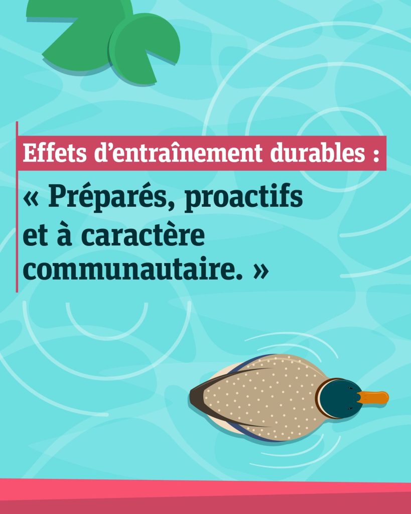Illustration d’ondulations dans l'eau et d'un canard colvert nageant devant, avec le texte « Effets d’entraînement durables : préparés, proactifs et à caractère communautaire. »