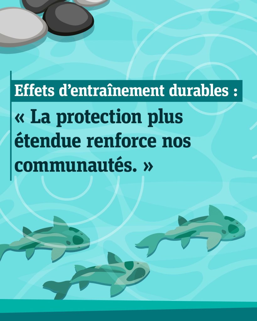 Illustration d’ondulations dans l'eau et d'un banc de poissons nageant sous la surface, avec le texte <q> Effets d’entraînement durables : la protection plus étendue renforce nos communautés. </q>